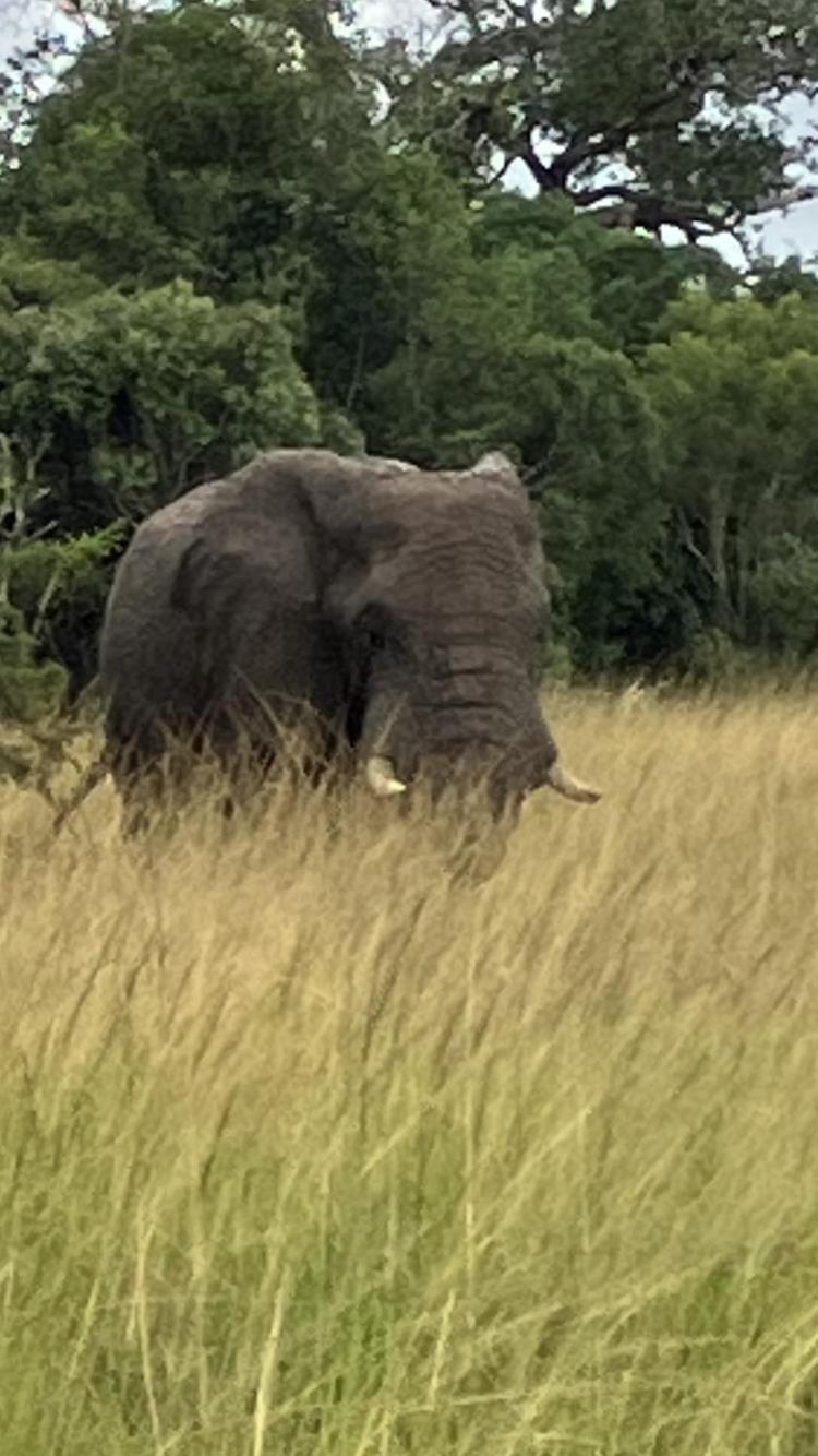 El Seuno De Africa -The Dream Of Africa Villa เซนต์ลูเซีย ภายนอก รูปภาพ