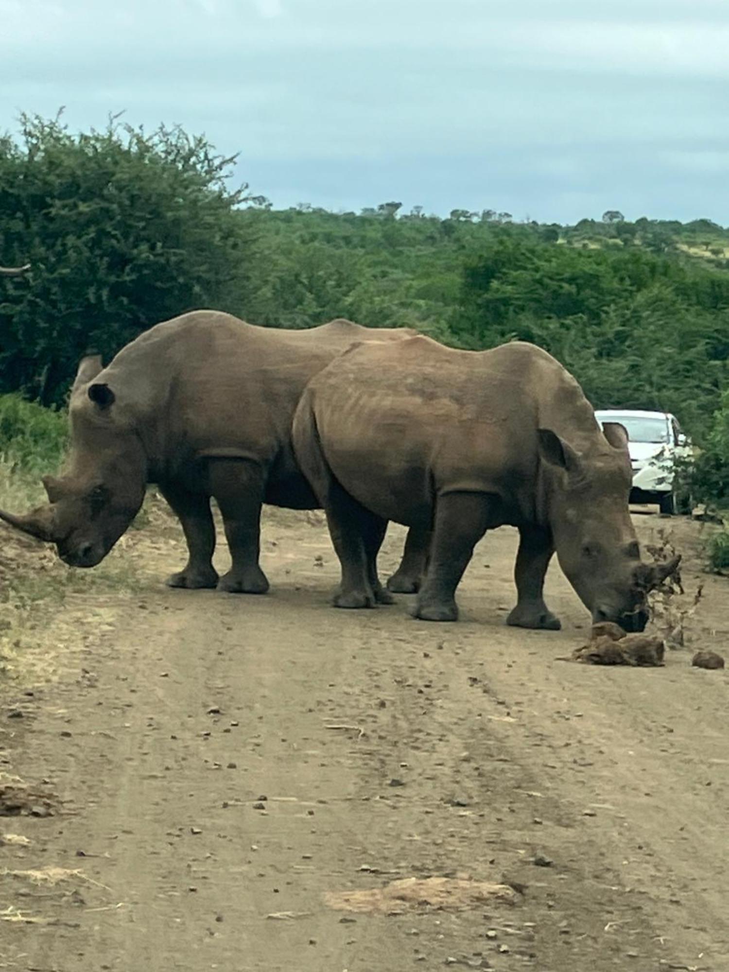 El Seuno De Africa -The Dream Of Africa Villa เซนต์ลูเซีย ภายนอก รูปภาพ