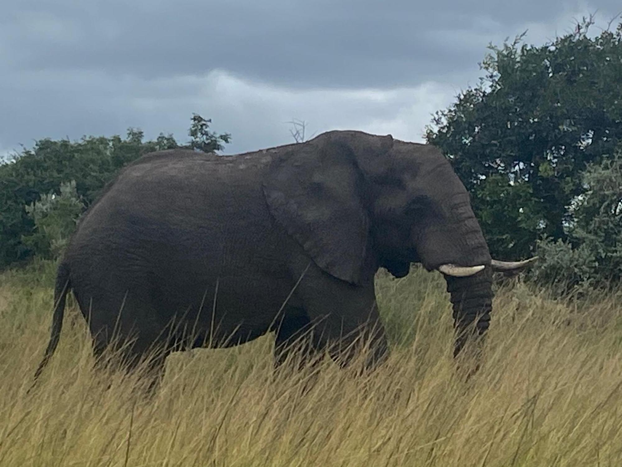 El Seuno De Africa -The Dream Of Africa Villa เซนต์ลูเซีย ภายนอก รูปภาพ