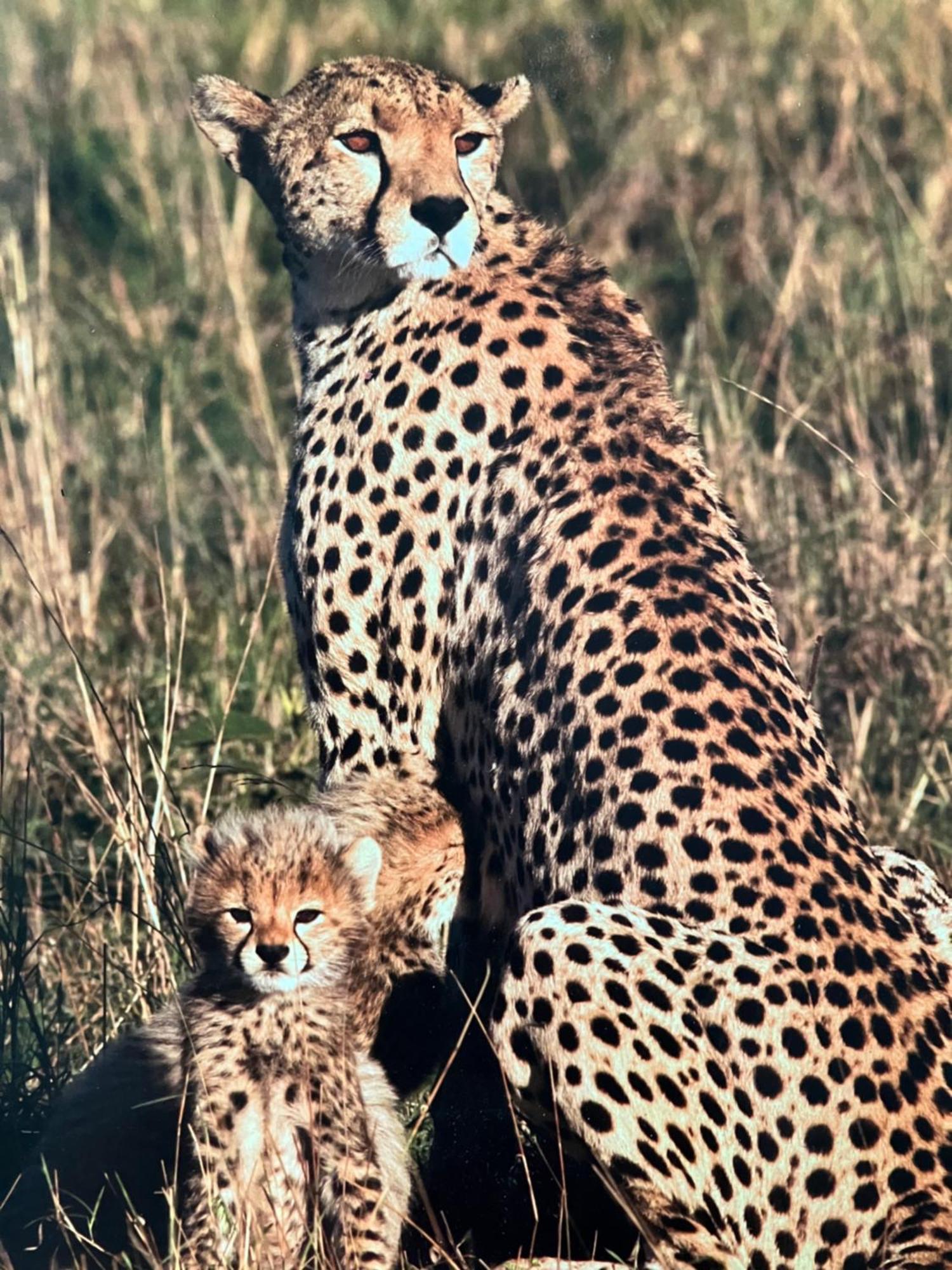 El Seuno De Africa -The Dream Of Africa Villa เซนต์ลูเซีย ภายนอก รูปภาพ
