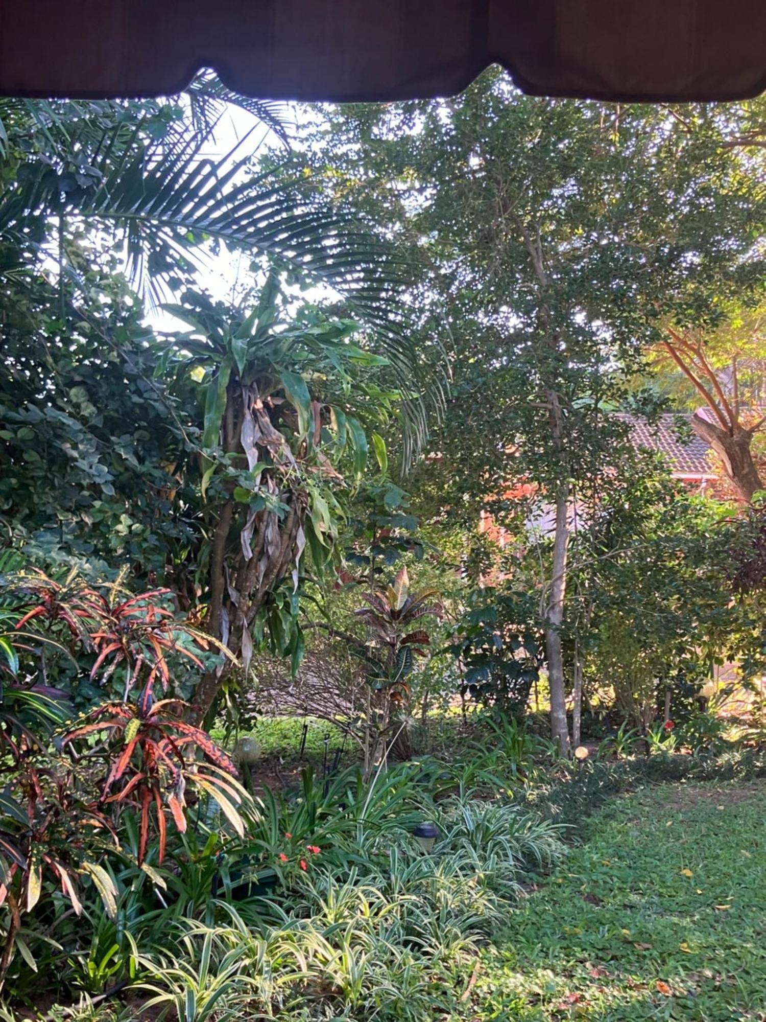 El Seuno De Africa -The Dream Of Africa Villa เซนต์ลูเซีย ภายนอก รูปภาพ